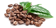 roasted coffee beans